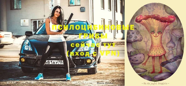 стафф Белокуриха