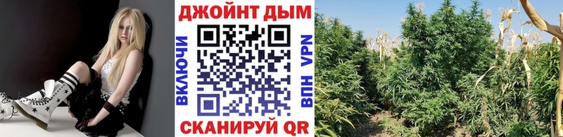 купить наркотики цена  МЕГА маркетплейс  Бошки Шишки AK-47  Сухой Лог 